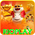 rioplay Premium Gaming App